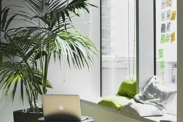 Shopify Setup Displayed on Laptop